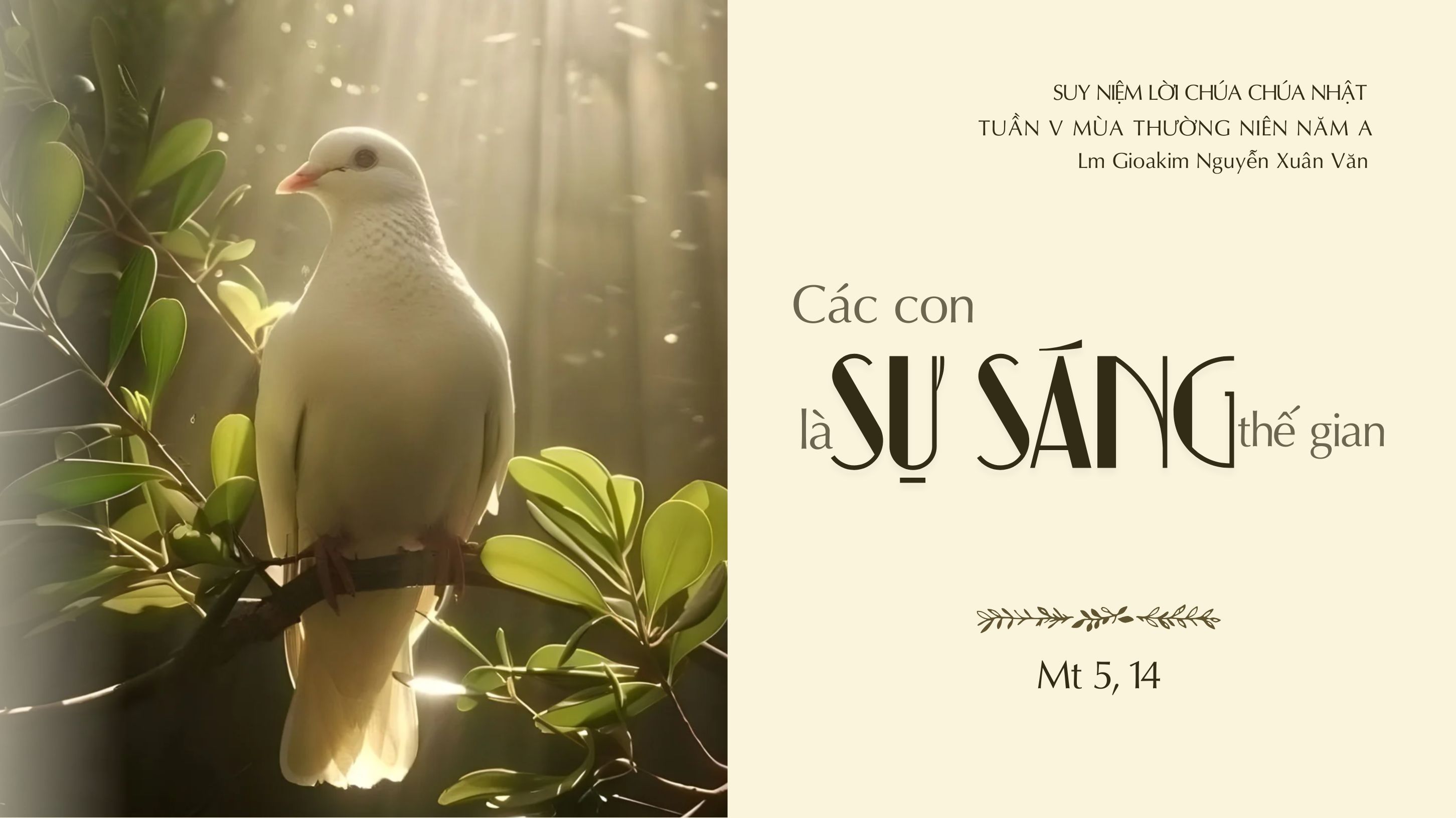 "Hãy là Muối và Ánh sáng cho đời"_Suy niệm Tin mừng Chúa nhật tuần V mùa Thường niên năm A